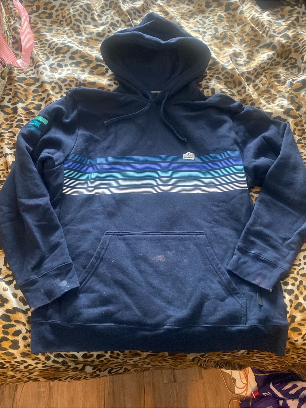 Patagonia Navy Blue Striped Hoodie